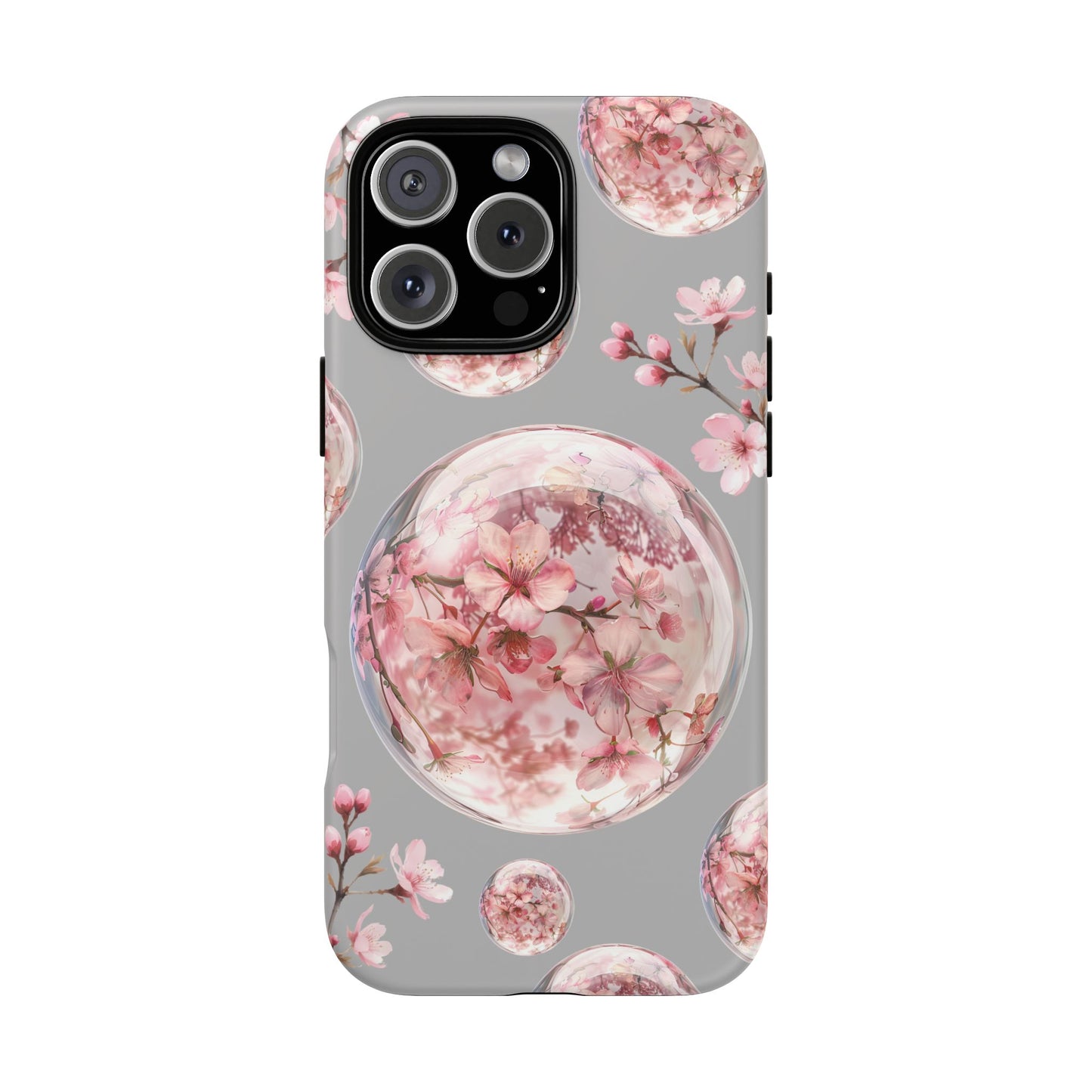 Cherry Blossoms