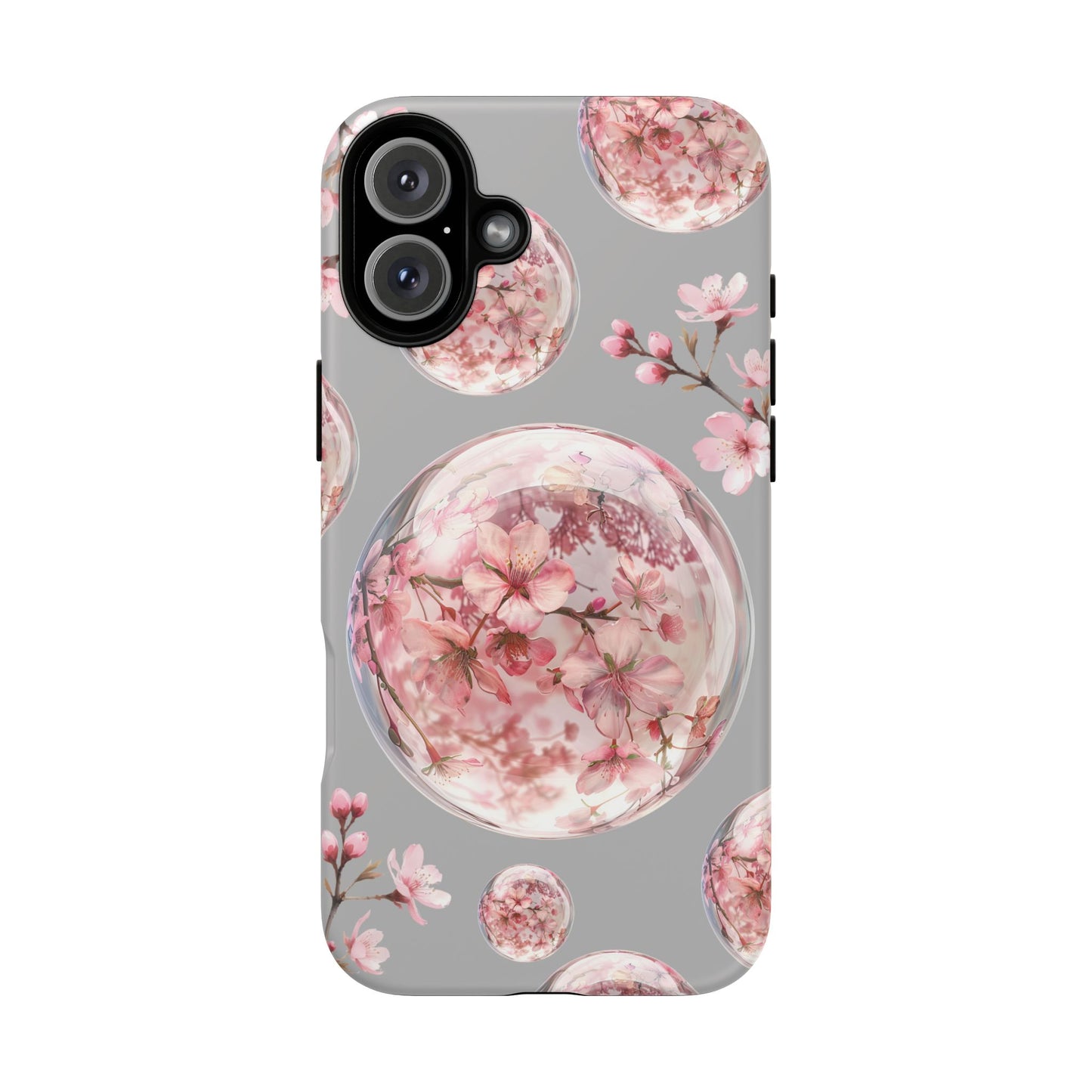 Cherry Blossoms